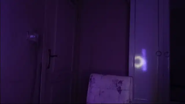 Snapshot of Bullish chatting on January 22, 11:45 am Bullish online show from January 22, 11:45 am