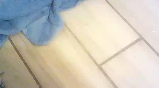 Snapshot of blasphemous chatting on January 28, 10:45 pm blasphemous online show from January 28, 10:45 pm