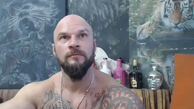 viking 30 online show from October 4, 2:48 pm