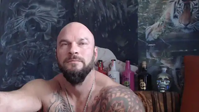 viking 30 online show from October 8, 10:24 am