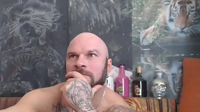 viking 30 online show from November 1, 8:27 am