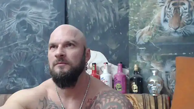 viking 30 online show from November 17, 7:41 pm