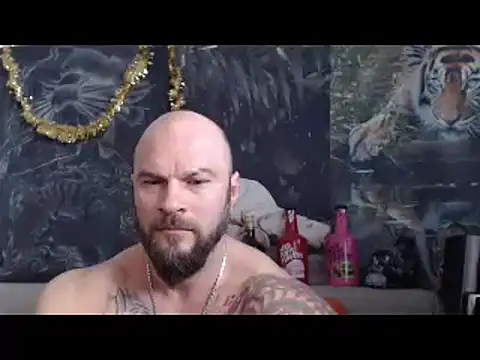 viking 30 online show from March 1, 7:21 am