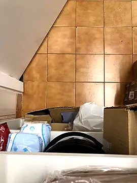 Snapshot of Mindnorthcam2 chatting on November 17, 7:36 am Mindnorthcam2 online show from November 17, 7:36 am