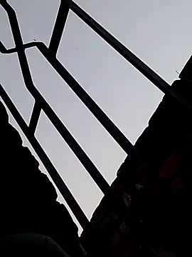 Shahidraza123465  online show from November 18, 11:14 am