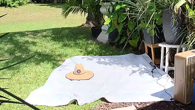 eliberator1777 online show from September 21, 5:03 pm