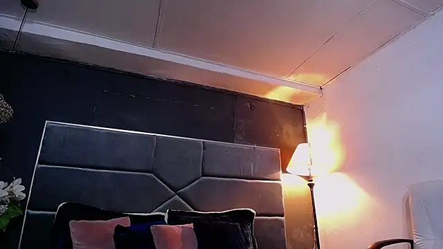 teddyfit19cm online show from October 23, 1:21 pm