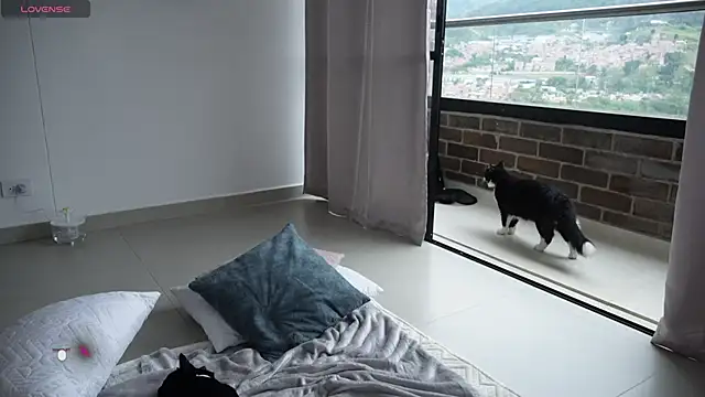 Veronica ar online show from February 12, 7:24 pm