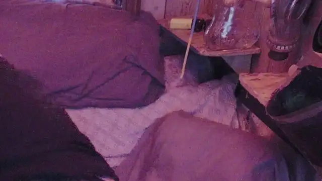 Snapshot of sex4fun_21 chatting on February 1, 7:15 am sex4fun 21 online show from February 1, 7:15 am