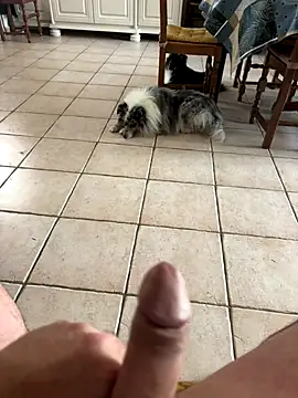 Loul41 online show from November 2, 3:03 pm