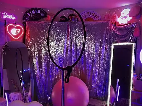 Snapshot of bimbotwerkqueen chatting on November 9, 4:11 am bimbotwerkqueen online show from November 9, 4:11 am