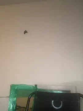 Snapshot of Foreignthababyy chatting on January 13, 3:12 am Foreignthababyy online show from January 13, 3:12 am