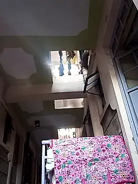 Chancebambi online show from December 2, 2:12 pm