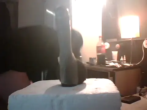 Snapshot of slutviki chatting on January 10, 12:12 am slutviki online show from January 10, 12:12 am