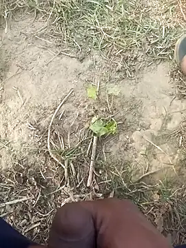 FinableKnee online show from November 29, 10:07 am