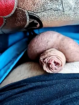 sile2000nou online show from May 4, 3:24 am