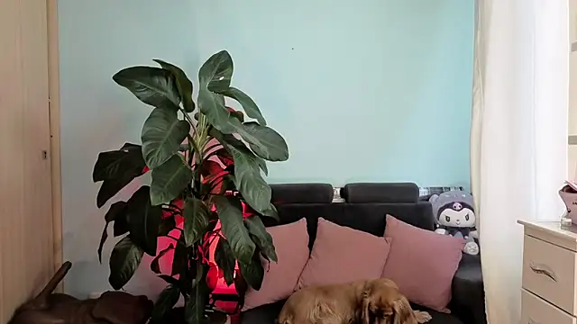 melisa es online show from February 5, 2:54 pm