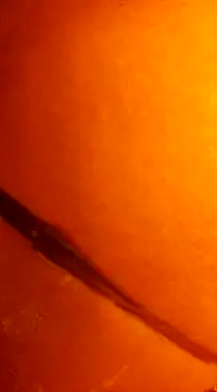 Snapshot of k_lebannon chatting on December 31, 11:49 pm k lebannon online show from December 31, 11:49 pm