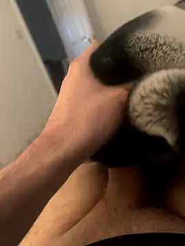 Snapshot of Furdale chatting on December 3, 3:00 pm Furdale online show from December 3, 3:00 pm