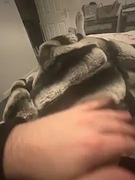 Snapshot of Furdale chatting on December 7, 9:33 pm Furdale online show from December 7, 9:33 pm