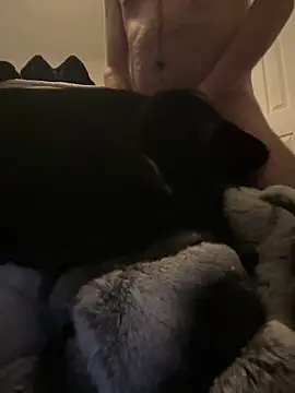 Snapshot of Furdale chatting on December 30, 3:35 pm Furdale online show from December 30, 3:35 pm