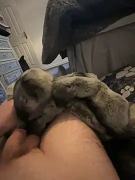 Snapshot of Furdale chatting on January 1, 3:46 pm Furdale online show from January 1, 3:46 pm