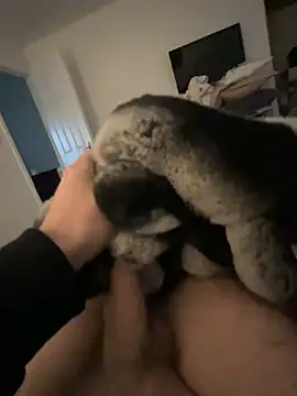 Snapshot of Furdale chatting on January 24, 2:41 pm Furdale online show from January 24, 2:41 pm