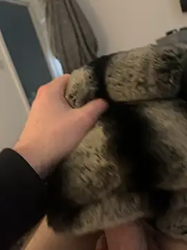 Snapshot of Furdale chatting on February 12, 2:54 pm Furdale online show from February 12, 2:54 pm