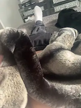 Snapshot of Furdale chatting on February 22, 1:24 pm Furdale online show from February 22, 1:24 pm