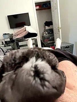 Snapshot of Furdale chatting on September 25, 4:54 pm Furdale online show from September 25, 4:54 pm