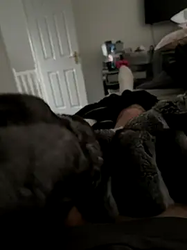 Furdale online show from November 7, 2:28 pm