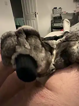 Furdale online show from November 25, 4:40 pm