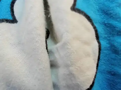 bigbooty29 online show from September 29, 4:50 am