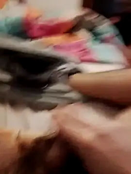 Snapshot of jon763 chatting on February 19, 9:16 am jon763 online show from February 19, 9:16 am