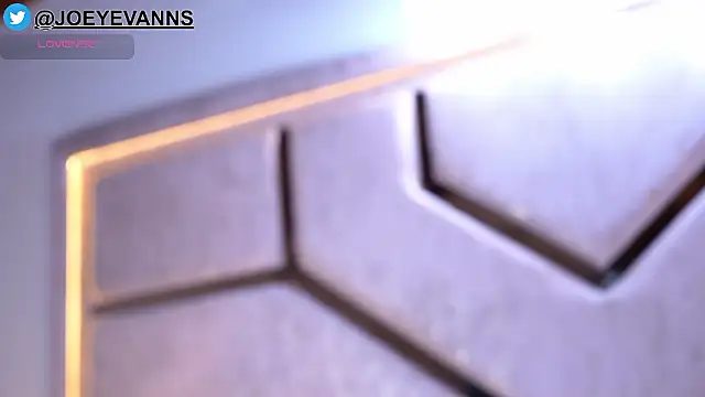 Snapshot of JOEYEVANS chatting on February 1, 12:53 am JOEYEVANS online show from February 1, 12:53 am