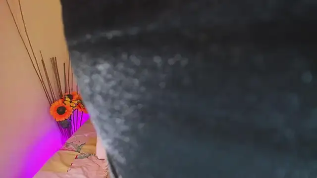 Julia Haye online show from February 18, 11:00 am