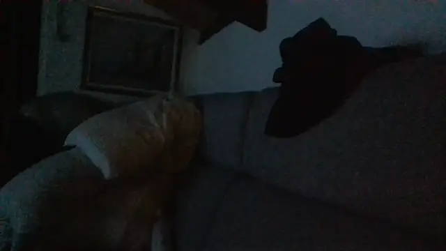 Snapshot of davigochi77bcn chatting on February 20, 10:21 pm davigochi77bcn online show from February 20, 10:21 pm