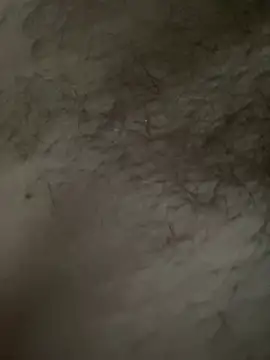 pol6t online show from February 13, 12:56 pm