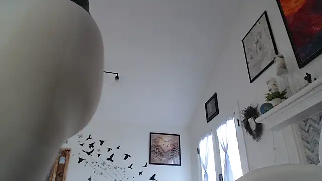 AuroraWillows online show from January 19, 3:16 pm