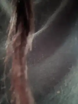   IRIS   online show from February 14, 4:31 pm