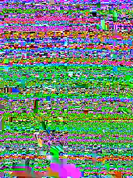   IRIS   online show from October 16, 3:35 pm