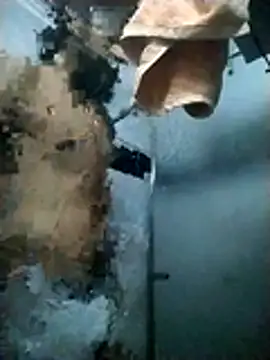 Pziko online show from January 7, 3:09 am