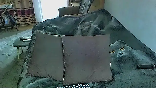 Snapshot of sex2 chatting on October 16, 2:23 am sex2 online show from October 16, 2:23 am