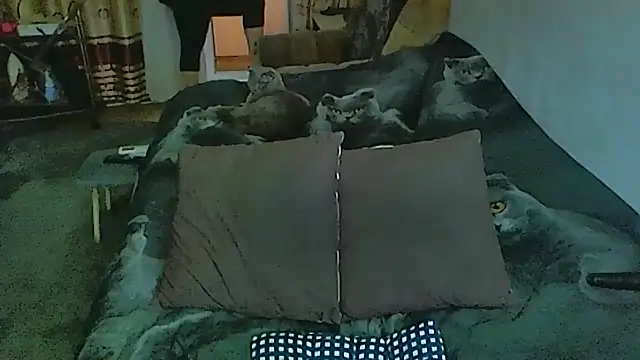 sex2 online show from December 4, 1:26 am