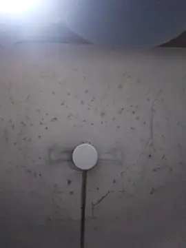 Snapshot of marie12345679 chatting on February 26, 1:15 am marie12345679 online show from February 26, 1:15 am