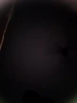 Pitercom online show from October 19, 9:04 pm