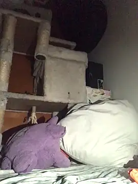 Snapshot of BIG-CkD_F chatting on January 13, 12:02 pm BIG-CkD F online show from January 13, 12:02 pm