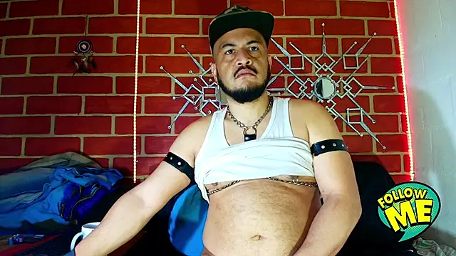 the master foal  online show from September 28, 2:33 pm