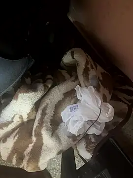 falooda288 online show from January 17, 8:41 am