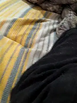 Snapshot of Yaramaz331 chatting on March 9, 6:39 am Yaramaz331 online show from March 9, 6:39 am